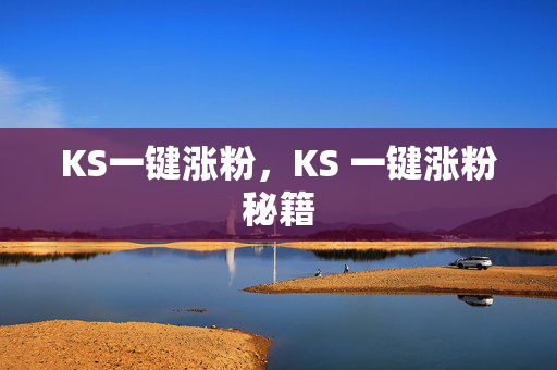 KS一键涨粉，KS 一键涨粉秘籍