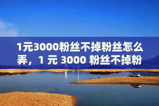 1元3000粉丝不掉粉丝怎么弄，1 元 3000 粉丝不掉粉的方法