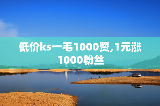 低价ks一毛1000赞,1元涨1000粉丝