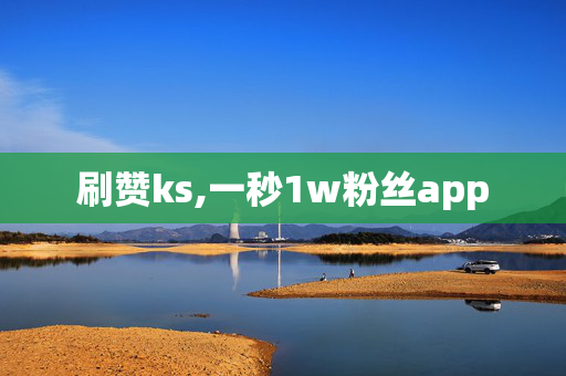 刷赞ks,一秒1w粉丝app