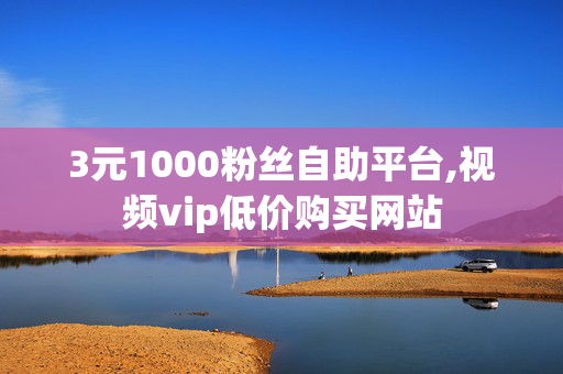 3元1000粉丝自助平台,视频vip低价购买网站