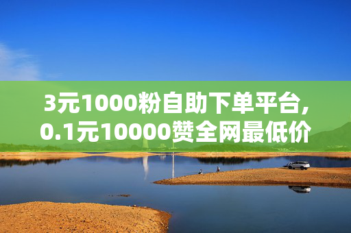 3元1000粉自助下单平台,0.1元10000赞全网最低价