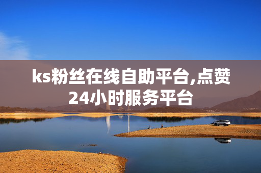 ks粉丝在线自助平台,点赞24小时服务平台