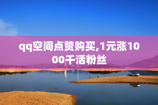 qq空间点赞购买,1元涨1000千活粉丝